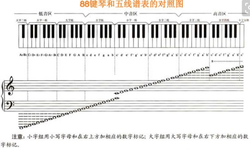 得卵巢囊肿不能吃什么食物和水果-得卵巢囊肿不能吃什么食物网 - 卵巢囊肿禁忌哪些食物,卵巢囊肿不能吃什么食物最好
