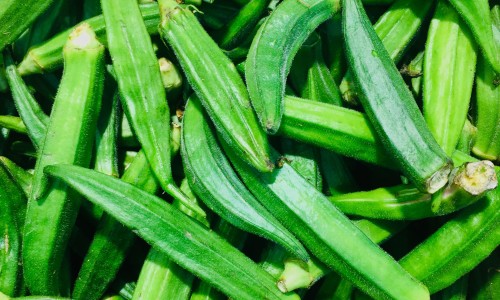 得卵巢囊肿不能吃什么食物网 - 卵巢囊肿禁忌哪些食物,卵巢囊肿不能吃什么食物最好